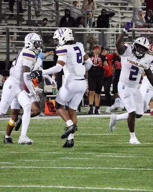 Ualbany Great Danes Football Greensboro