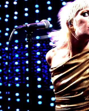 Amyl and The Sniffers Raleigh