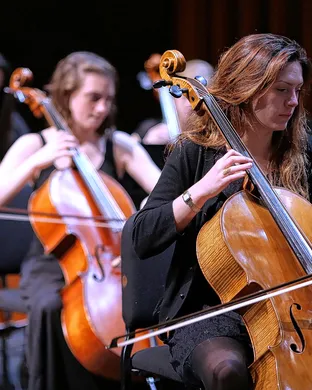 Beethoven Raleigh
