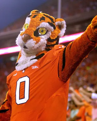 Clemson Tigers Football Clemson