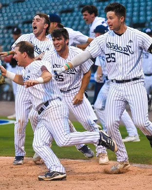 Georgia Tech Yellow Jackets Baseball Durham