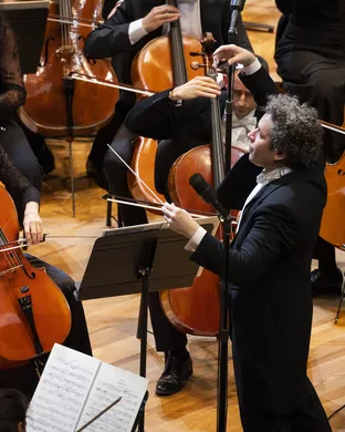 Mahler Raleigh