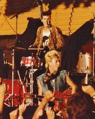 Stray Cats Danville