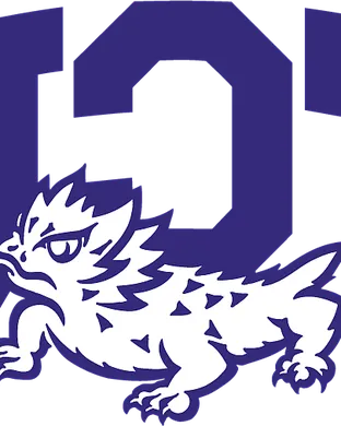 TCU Horned Frogs Dublin