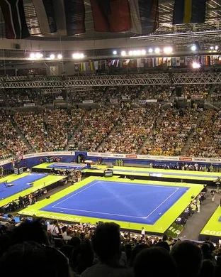 NCAA Women's Gymnastics Championship Raleigh